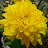 @타나시-v5e