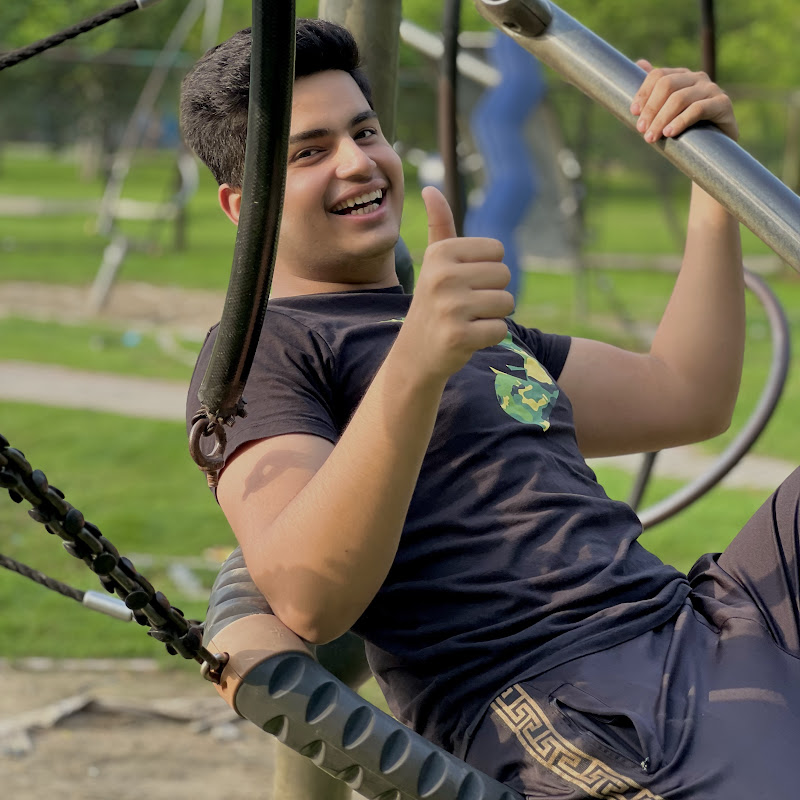 Ali Mujtabavlogs