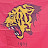 Tiger_1905