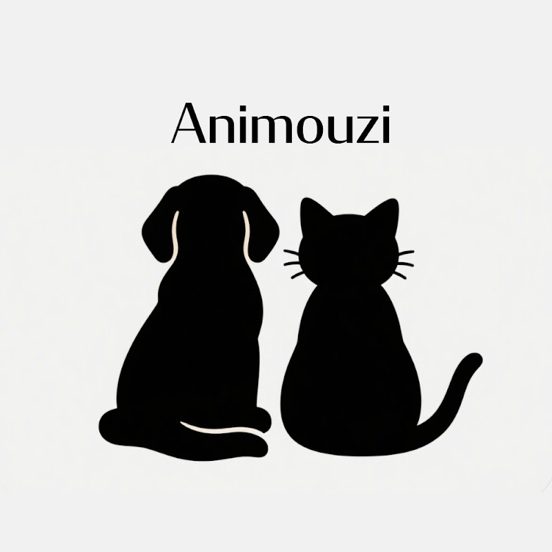 Animouzi 
