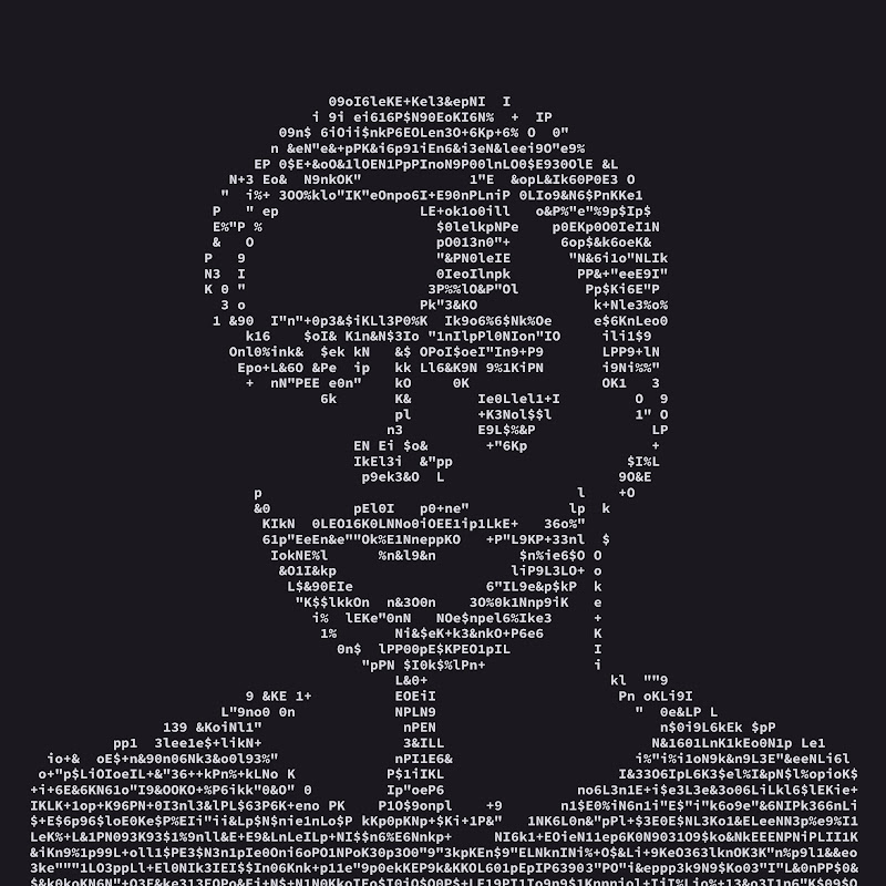 Exploring the Simulation