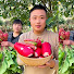 bcOSdsJNa68-channel-avatar-Rural Food
