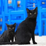 暮らしのかけら集め