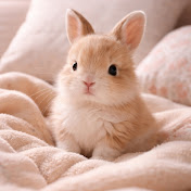 cutecartoon