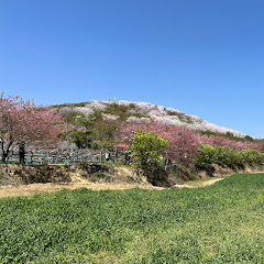 Sabrina in China Avatar