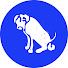 bok2gUrsnZA-channel-avatar-URBANIA FR and URBANIA