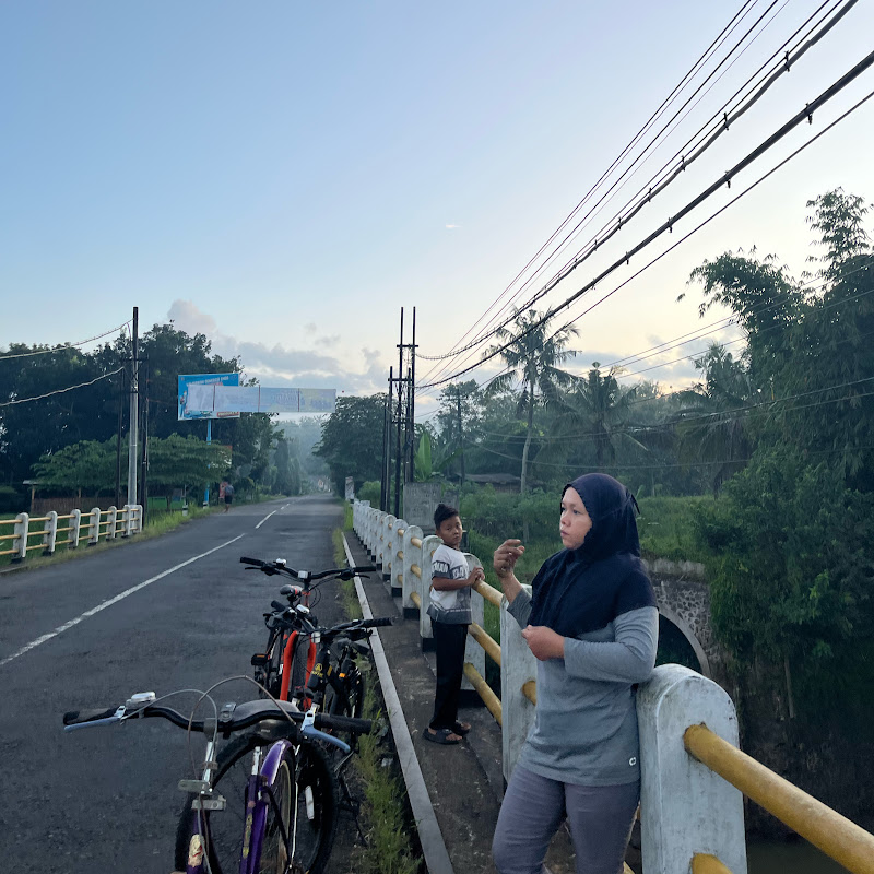 Fadila Gardening