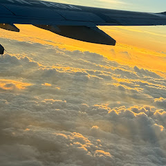 design&my lifeアイコン画像