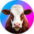 mPg1nzBAJ6k-channel-avatar-Bozor abzor
