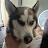 @StonetheShepSky