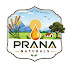 ug2JP8Ox7mw-channel-avatar-Prana Naturals