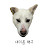 @whitedog2020