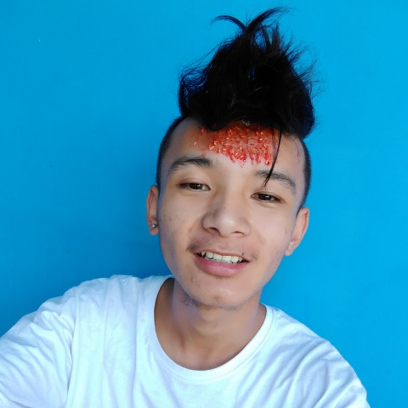 Pravin gurung vlogs .