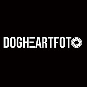 DogheartFOTO