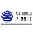 Animals Planet