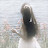 @LeloooHesham
