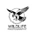 LadFY2dE86w-channel-avatar-Graeme Pearson - Wildlife Photography