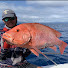 rJkTzFay4a4-channel-avatar-Fnq Adventures 