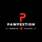 Pawfextion