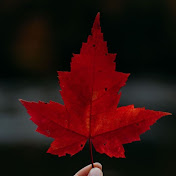 Canada updates