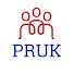 TWfzMUB2RV0-channel-avatar-Population Research UK (PRUK)