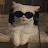 @nnyang_punch