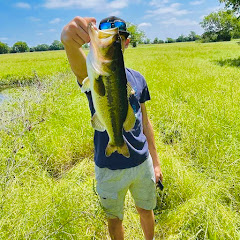 bassintravis