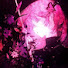 tnlcJ-SWrxc-channel-avatar-Crystal ♡★