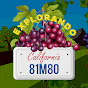EXPLORANDO CALIFORNIA  logo