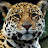 @user-kq2ef3st8o