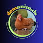 domanimals logo