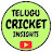 Telugu Cricket Insights 