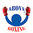 ABOVEBOXING private training