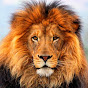 mnafaamnafaa Image Thumbnail