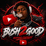 ttoulBcD08k-channel-avatar-Bush2good