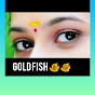 GOLD Fish 🐠🐠 logo