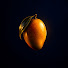 dw1CuEP6D7w-channel-avatar-Midnight Mango
