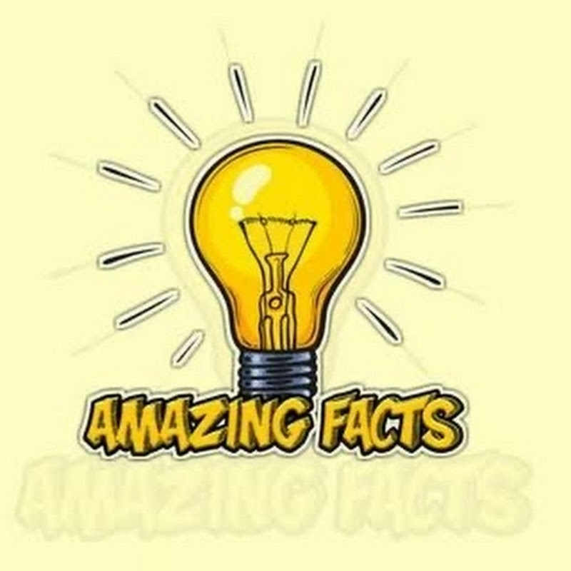 Funny fact yt
