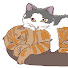 -vYlr5uxMag-channel-avatar-こむぎとラテ (Komugi & Latte)