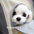 @mango0728