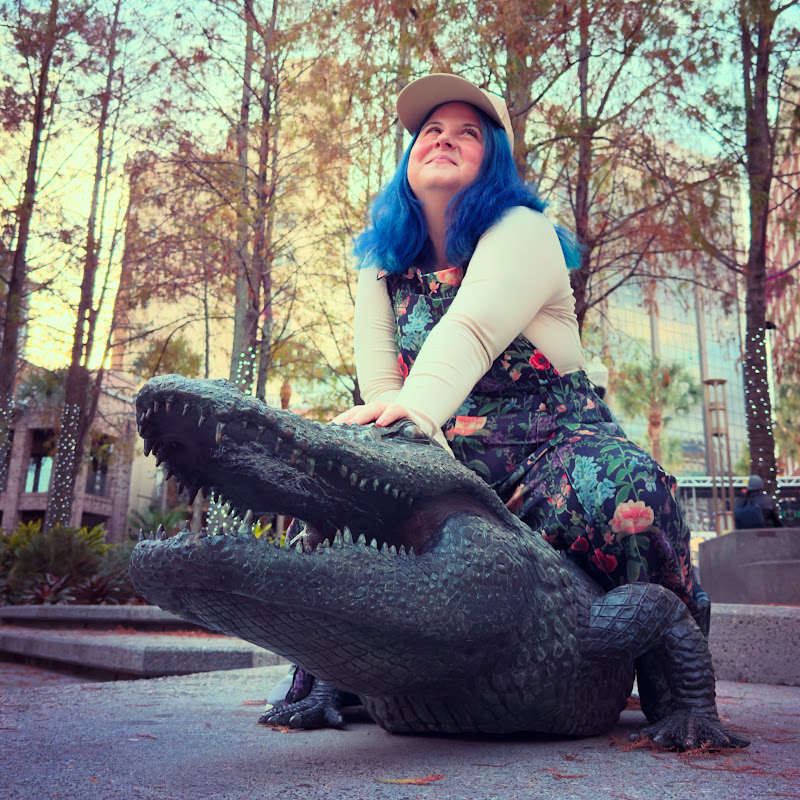 Laurens Travels