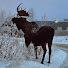osHfobR3_0Y-channel-avatar-Alaskan Reactions