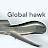 The RQ-4 Global Hawk