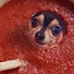 d1gGQAH1P4c-channel-avatar-DiddySauce