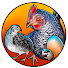 osFFVIBWQuU-channel-avatar-Layla's Backyard