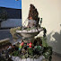 sln7cDxBbJU-channel-avatar-Vera Vale amo catos e suculentas 