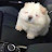 @밍-h3h