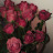 @HassnaaKasem