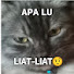 kakPAbwUFqo-channel-avatar-๑ Biya Official ๑