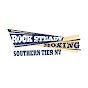 Rock Steady Boxing - Southern Tier NY logo